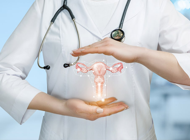 Gynecologist